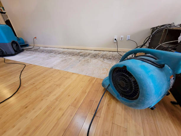 Professional Water Damage Repair technician working in Port Penn, DE
